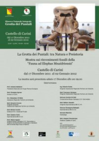 giardina20113