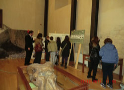 mostrapuntali20122
